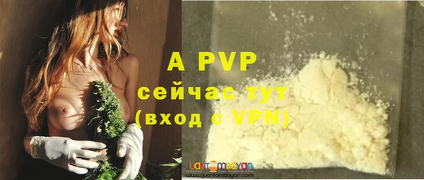 сатива Белокуриха
