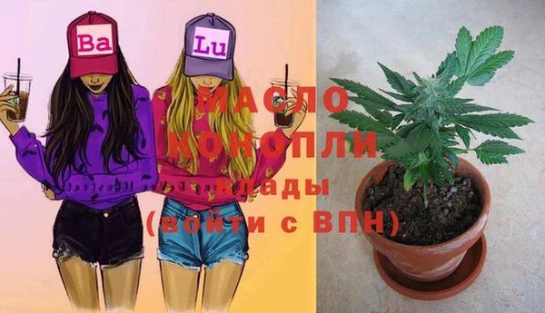 СК Бородино