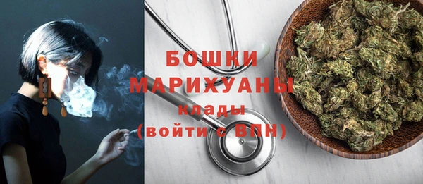 сатива Белокуриха