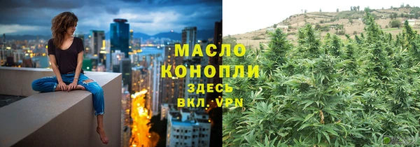 сатива Белокуриха