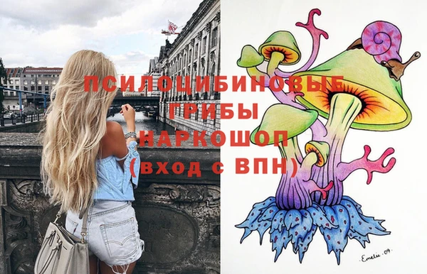 СК Бородино