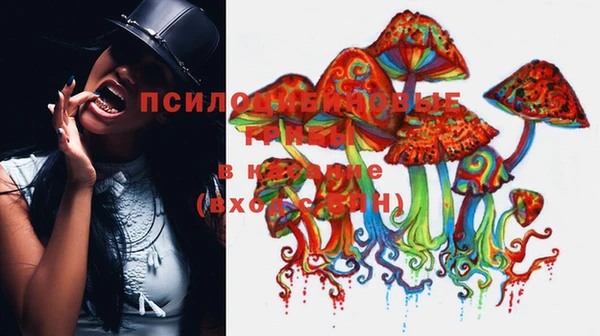PSILOCYBIN Беломорск