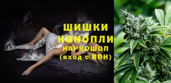 СК Бородино