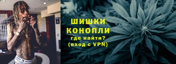сатива Белокуриха